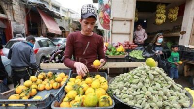 الكويت تدقّق في شحنات الخضار والفواكه اللبنانية وتسمح باستيرادها بحراً وجوًّا فقط