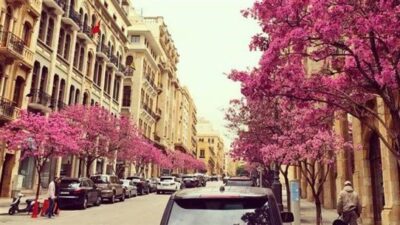الطقس الربيعي يرافقنا… والحرارة دون معدّلاتها