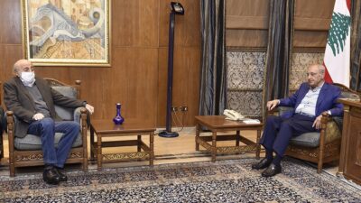 الأوضاع العامة والملف الحكومي بين بري وجنبلاط