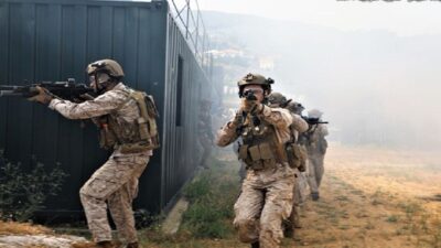 مسؤول فرنسي: نسعى مع شركائنا لجمع مساعدات للجيش اللبناني
