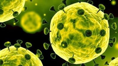 فحوص PCR مجانية غدا في صيدا لطلاب الشهادة الرسمية