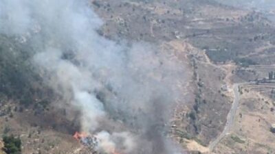 حريقٌ بين نيحا الشوف وجزّين ومناشدةٌ من الأهالي
