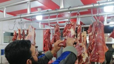 لحوم فاسدة في طرابلس.. و صلاحيات ضبط المحاضر ضائعة