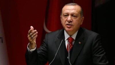 اردوغان: لا يمكن لأحد التدخّل!