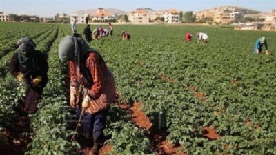 حلبة تصادم جديدة بين عون وبري… “الزراعة” حكر على “الثنائي”