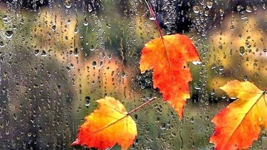 <span dir="ltr">16/10/21 02:03 pm</span>