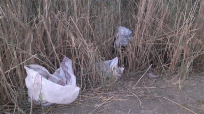 جريمة بيئيّة على ضفة الليطاني