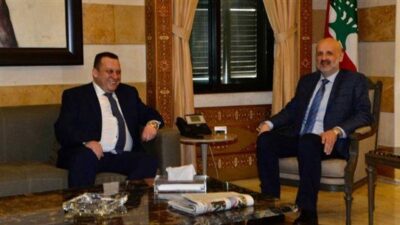 مولوي استقبل رئيس بلدية مجدل المعوش