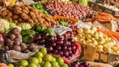 نقابة مستوردي ومصدّري الخضار شكرت وزير الزراعة على جهوده مع الأردن لإدخال الإنتاج اللبناني