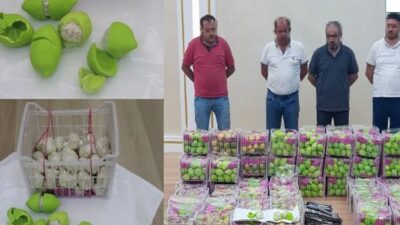 مليون قرص “كبتاغون” بـ شحنات الليمون” في الإمارات