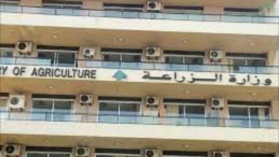 وزارة الزراعة: بدء توزيع قسائم المدخلات الزراعية غدا
