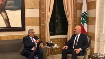 مولوي وبوحبيب بحثا التحضيرات لمشاركة المغتربين في الانتخابات
