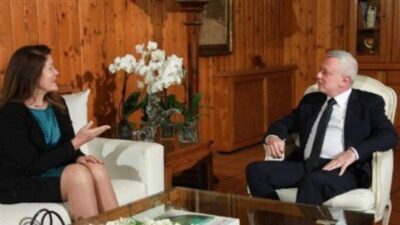 فرنجية بحث مع شيا في الاستحقاقات المقبلة