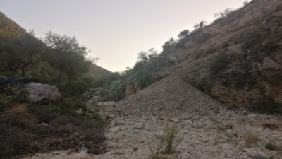 في فغال… مجزرة بيئية تُنذر بفياضانات!