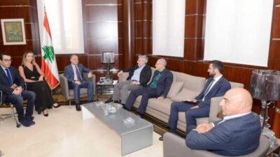 مشاكل وحلول ازمة الدواء بين بو صعب ووفد “مستوردي الأدوية”