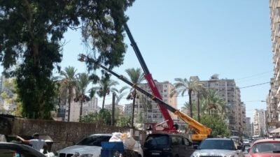 النقيب شادي السيد معلقاً على حادثة قطع الأشجار في مدينة طرابلس: “نريد إجراءات واضحة والا فالكل بنظرنا متهم..”