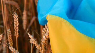انخفاض صادرات الحبوب الأوكرانية في أكتوبر 20.5%