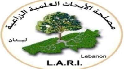 مصلحة الابحاث: بدء التسجيل لورشة العمل الثانية حول أنظمة الزيتون المتعددة الوظائف في لبنان