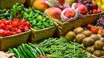إطلاق منصة الكترونية لتصدير المنتجات الزراعية والغذائية