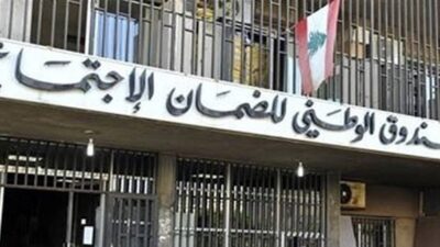 الضمان يضبط 233 أجيراً وهميًّا