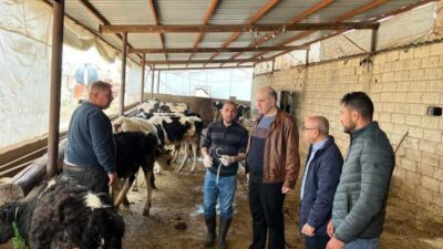 لحود أشرف على تحصين الماشية في البقاع وبعلبك