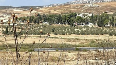 إسرائيل تصادق على بناء 3 آلاف وحدة استيطانية في الضفة