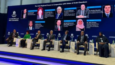 الرئيس دبوسي : " الإمارات العربية المتحدة بيئة نموذجية للابداع والابتكار"