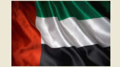الإمارات: توصلنا إلى اتفاق مع إسرائيل لإدخال مساعدات إنسانية إلى غزة