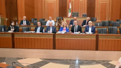 «أرنب بري» طفرة اقتراحات لنسف قانون الانتخاب الحالي