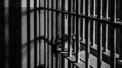 نفّذا عمليات سرقة ونشل ضمن محافظتي الجنوب وجبل لبنان