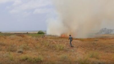 حريق كبير في محمية صور