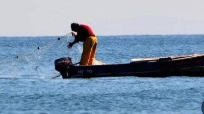 وزارة الزراعة تابعت بلاغا عن اصطياد أسماك قرش وبيعها ونظمت محضر ضبط بالمخالفين
